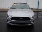 Thumbnail Photo 1 for 2020 Ford Mustang